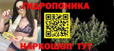 твердый Севастополь