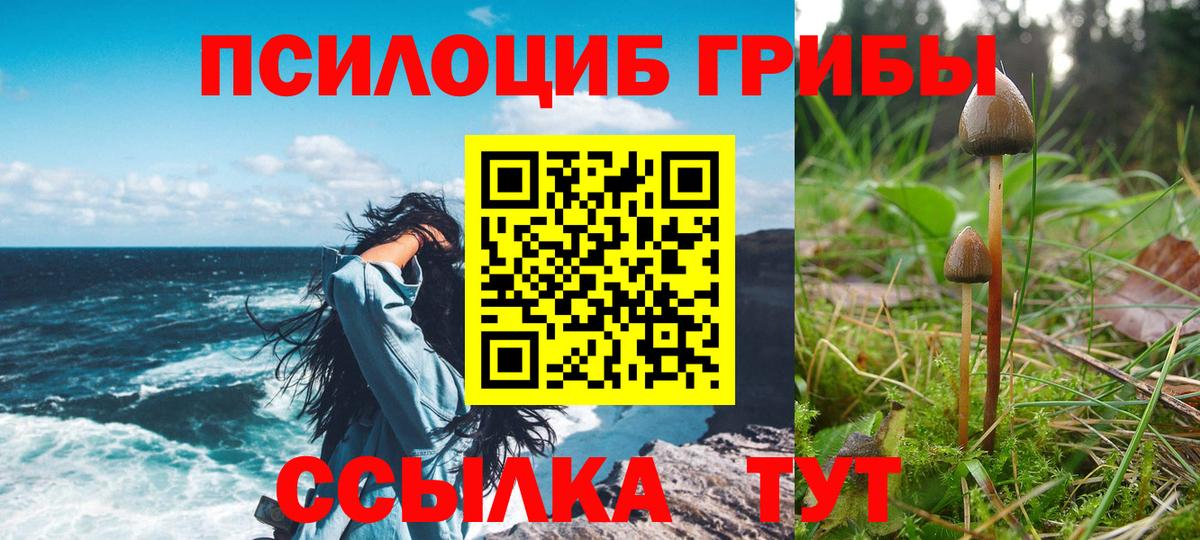 Галлюциногенные грибы Magic Shrooms Саранск